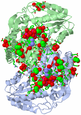 Image Asym./Biol. Unit - sites