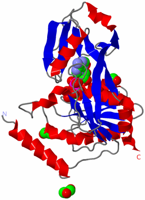 Image Asym./Biol. Unit