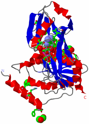 Image Asym./Biol. Unit - sites