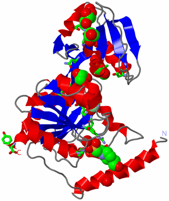 Image Asym./Biol. Unit - sites