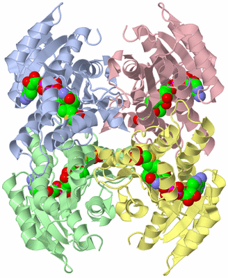 Image Asym./Biol. Unit