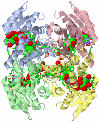 Image Asym./Biol. Unit - sites