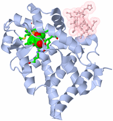 Image Biol. Unit 1 - sites