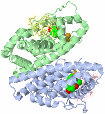 Image Biological Unit 3