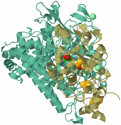 Image Asym./Biol. Unit