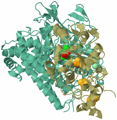 Image Asym./Biol. Unit