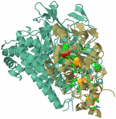 Image Asym./Biol. Unit - sites