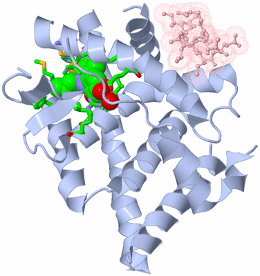 Image Biol. Unit 1 - sites