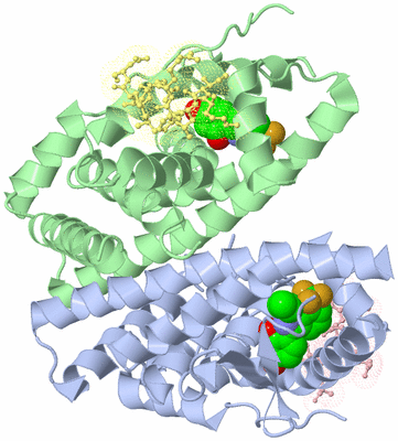 Image Biological Unit 3