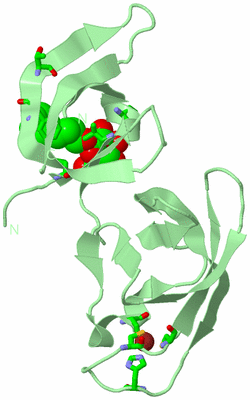 Image Biol. Unit 1 - sites