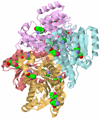 Image Biological Unit 2