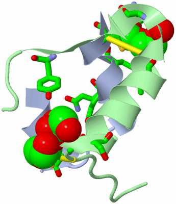 Image Asym./Biol. Unit - sites