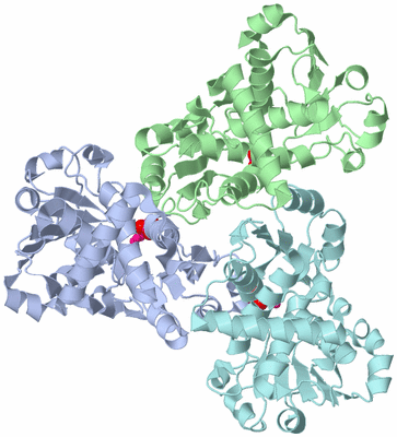 Image Biological Unit 1