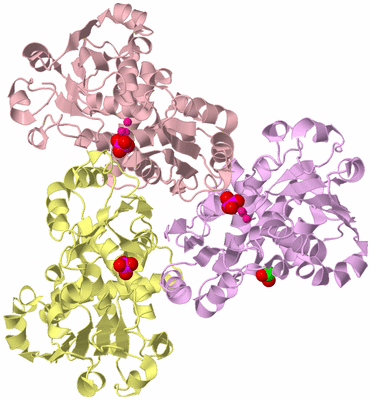 Image Biological Unit 2