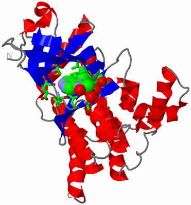 Image Asym./Biol. Unit - sites