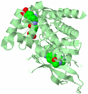 Image Biological Unit 2