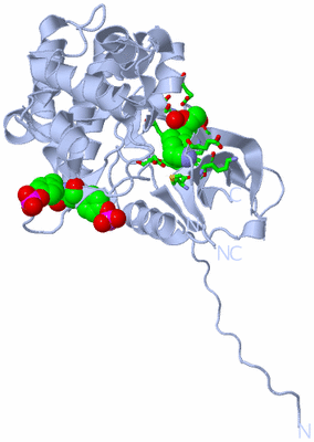 Image Biol. Unit 1 - sites