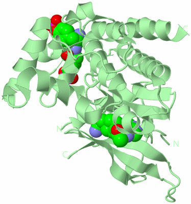 Image Biological Unit 2