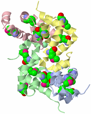 Image Biological Unit 1