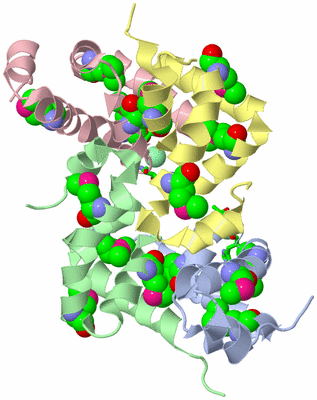 Image Biol. Unit 1 - sites