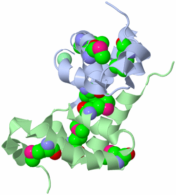 Image Biological Unit 2