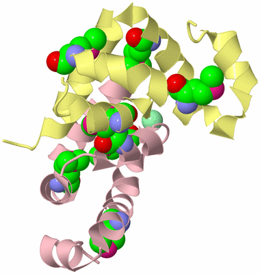 Image Biological Unit 3