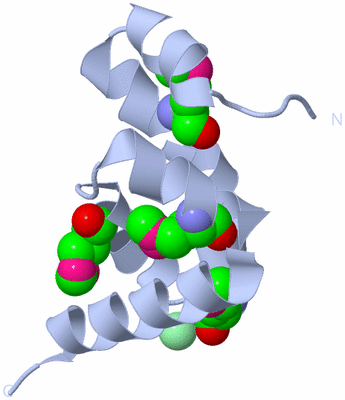 Image Biological Unit 4