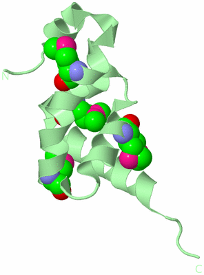 Image Biological Unit 5