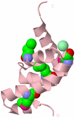 Image Biological Unit 6