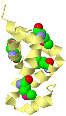 Image Biological Unit 7