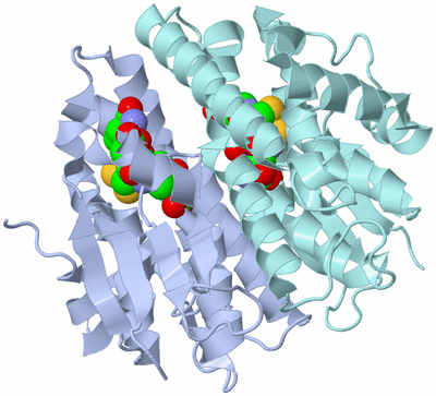 Image Biological Unit 1