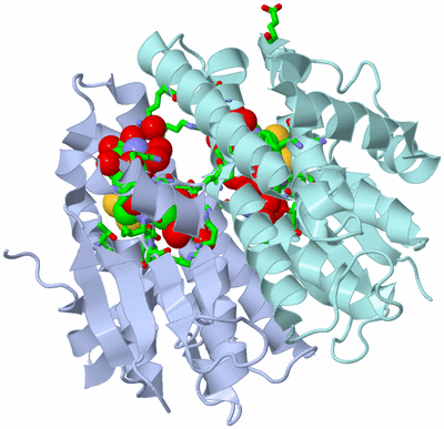 Image Biol. Unit 1 - sites