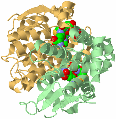 Image Biological Unit 2