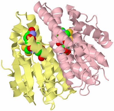 Image Biological Unit 3