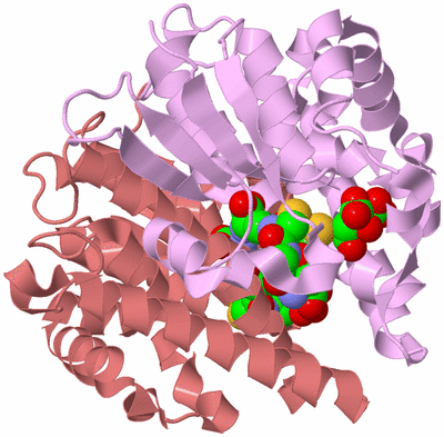 Image Biological Unit 4