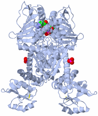 Image Biological Unit 1