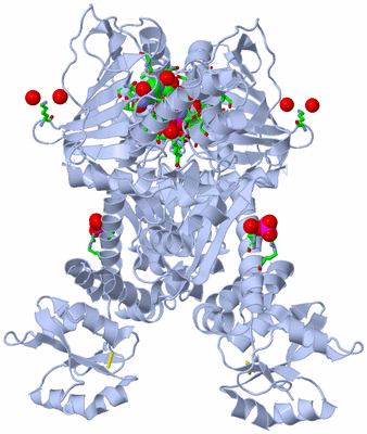 Image Biol. Unit 1 - sites