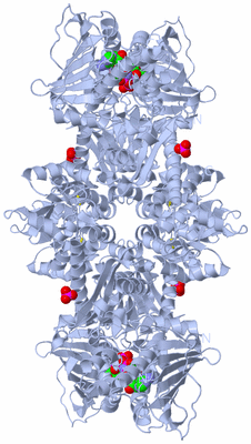 Image Biological Unit 2