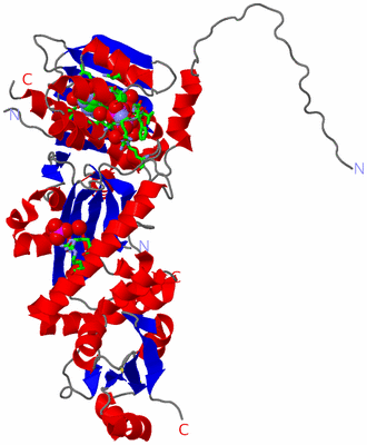 Image Asym. Unit - sites