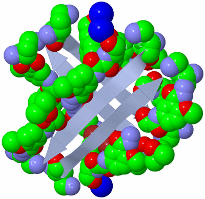 Image Biological Unit 1