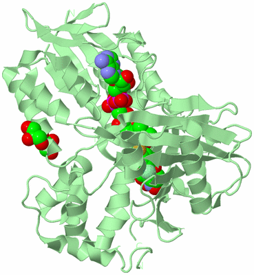 Image Biological Unit 1