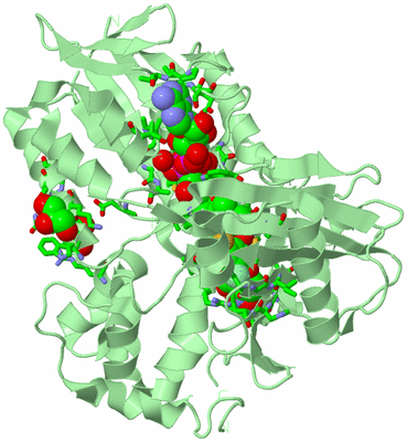 Image Biol. Unit 1 - sites