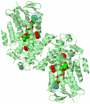 Image Biological Unit 2