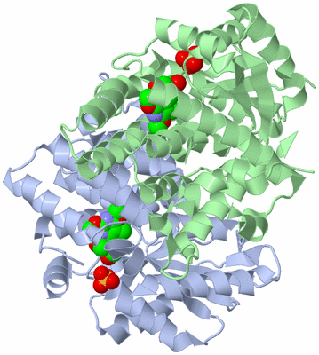 Image Asym./Biol. Unit