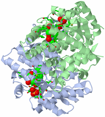 Image Asym./Biol. Unit - sites