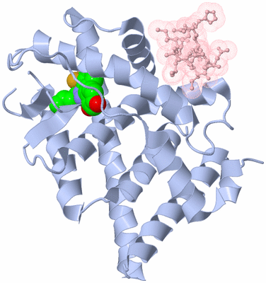 Image Biological Unit 1