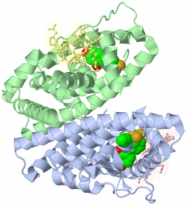 Image Biological Unit 3