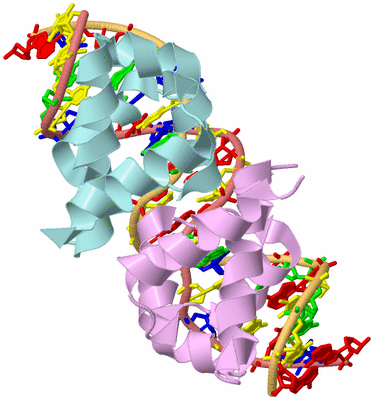 Image Biological Unit 2