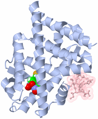 Image Biological Unit 1