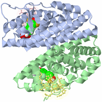 Image Biological Unit 3